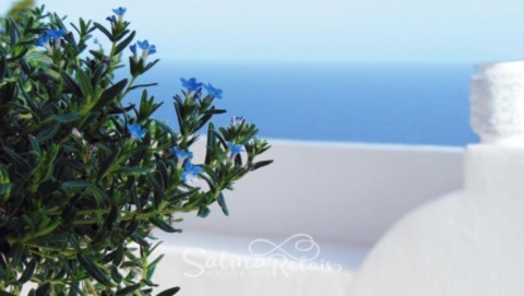 terrazza2